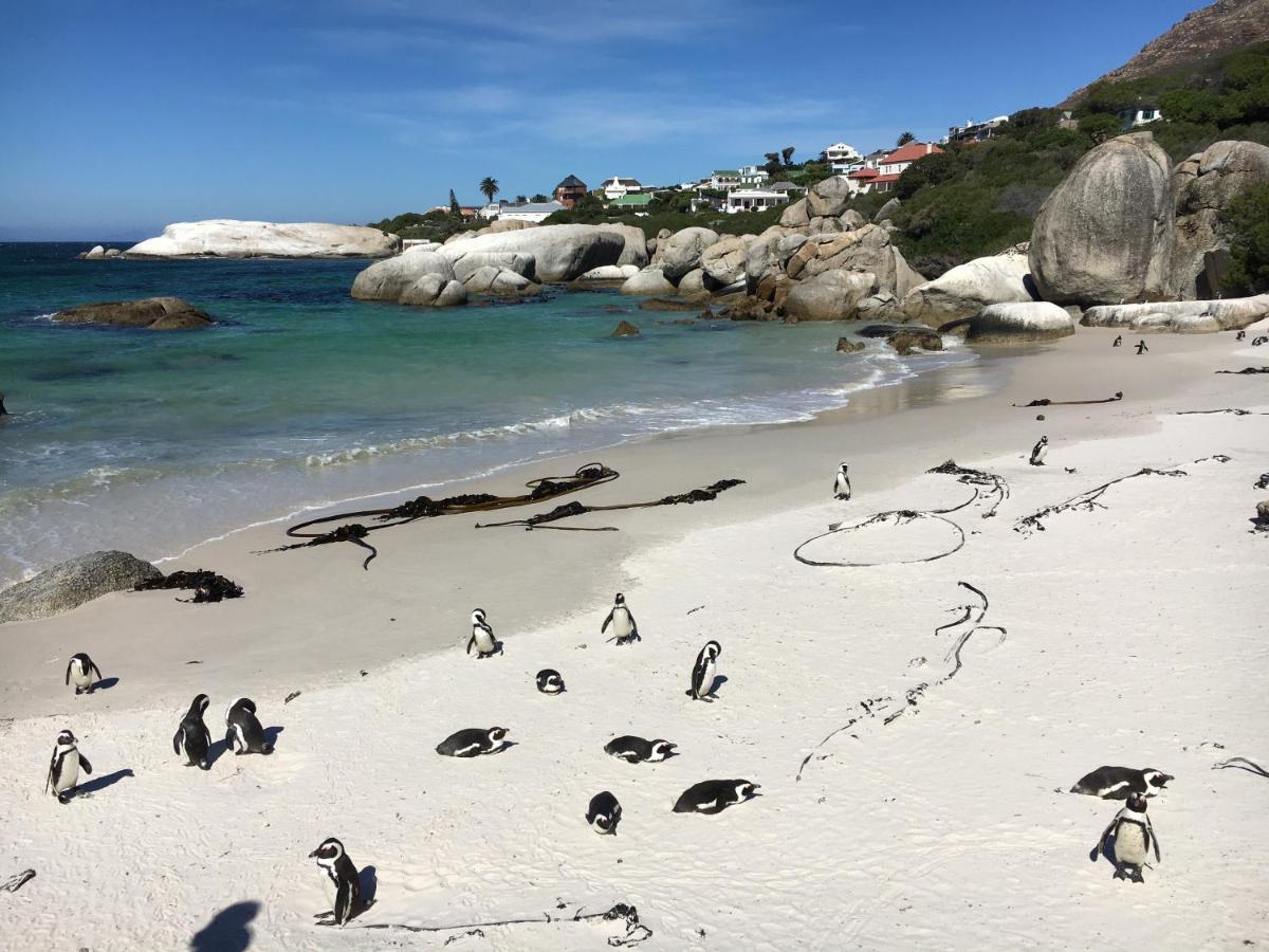 Seaforth Suite Simon's Town Bagian luar foto