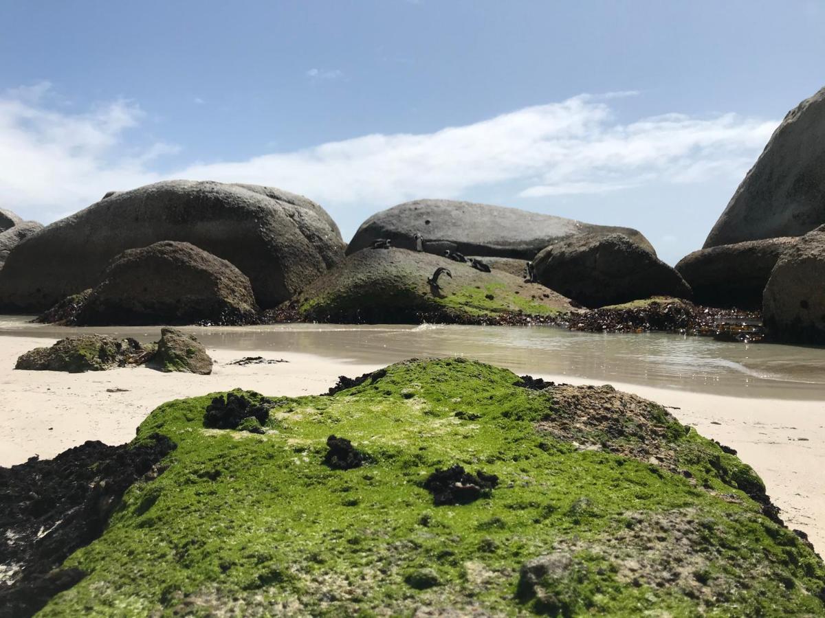Seaforth Suite Simon's Town Bagian luar foto